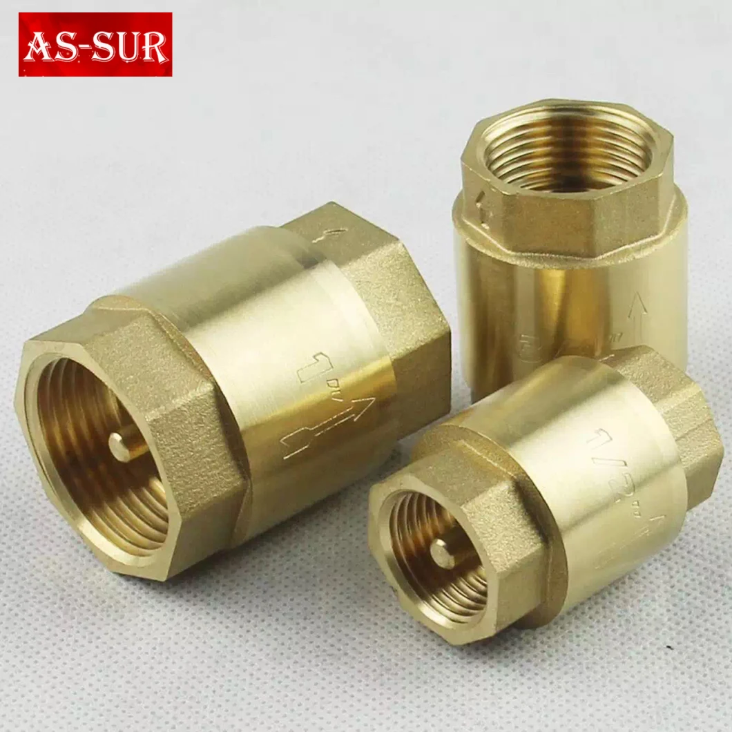 Spring Non Return Swing Valve Vertical Brass Check Valve