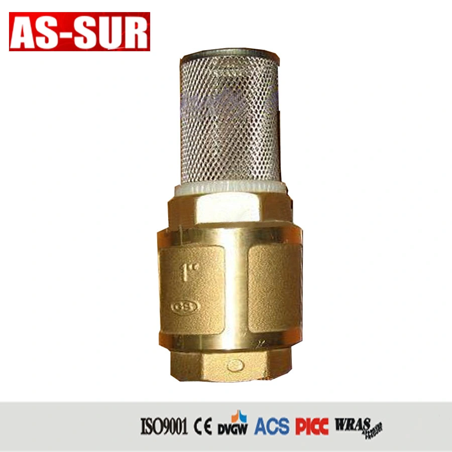 Spring Non Return Swing Valve Vertical Brass Check Valve